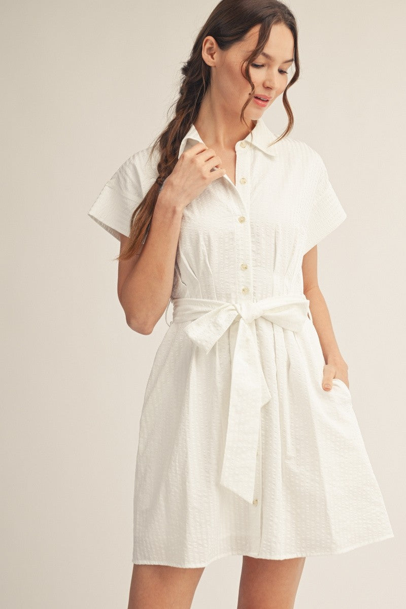 Angela Textured Stripe Belted Shirt Dress