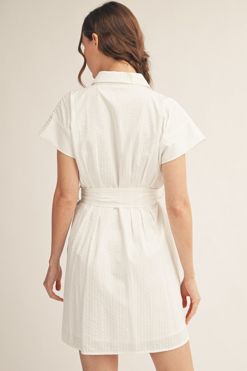 Angela Textured Stripe Belted Shirt Dress