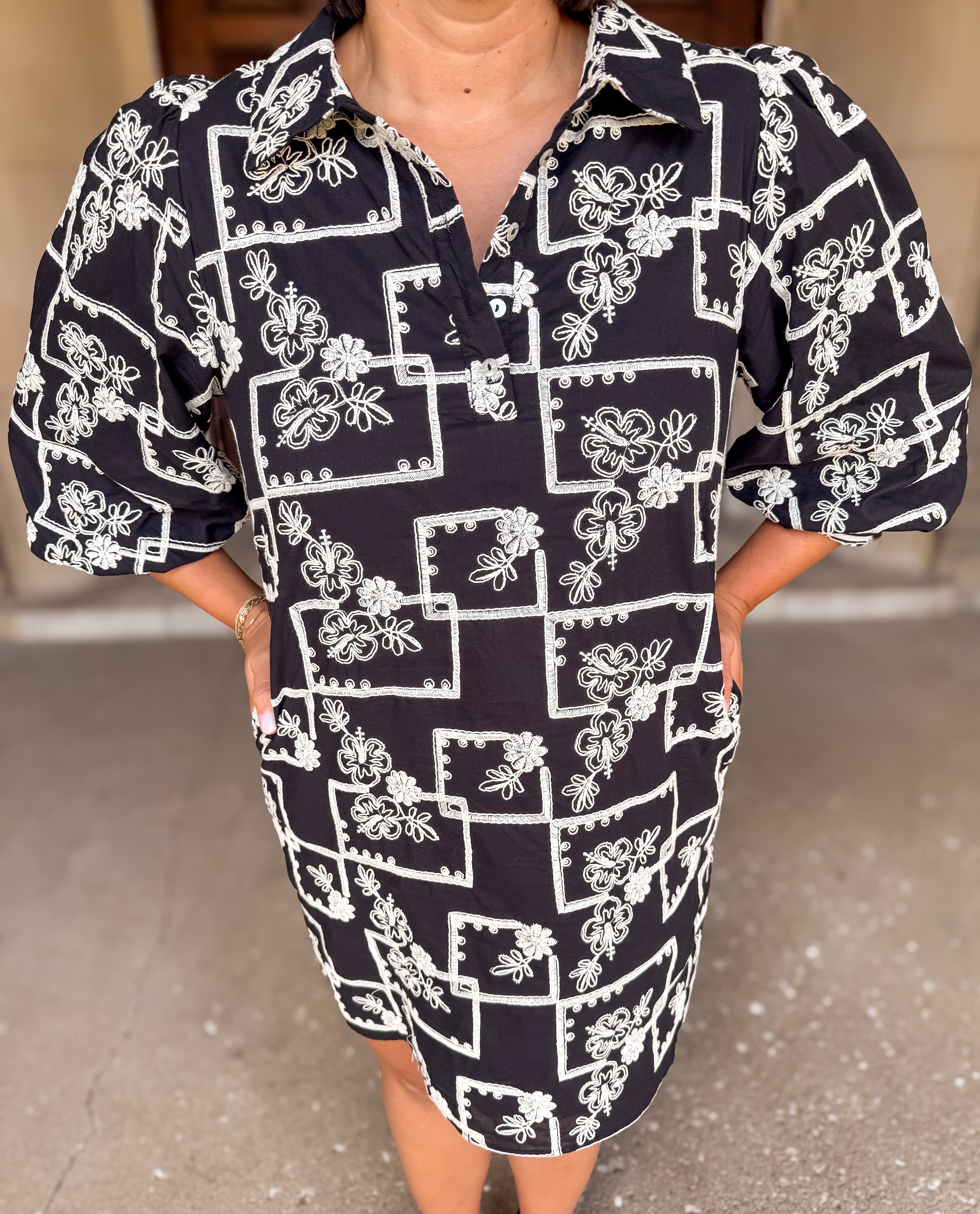 Sharon Embroidered Collar Dress FINAL SALE