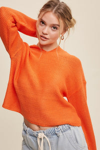 Nelson Cropped Hoodie Sweater