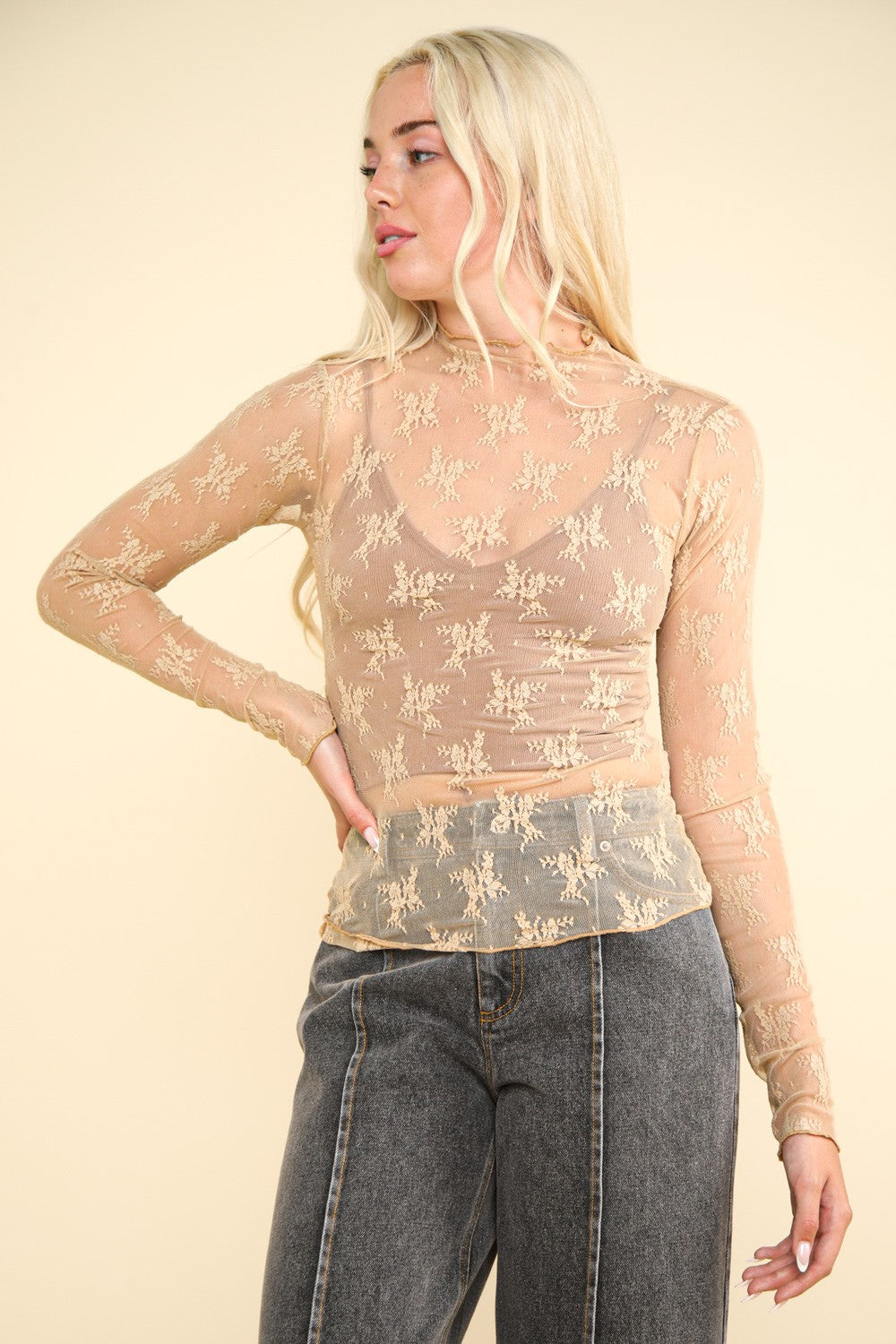 Sonja Sheer Lace Top